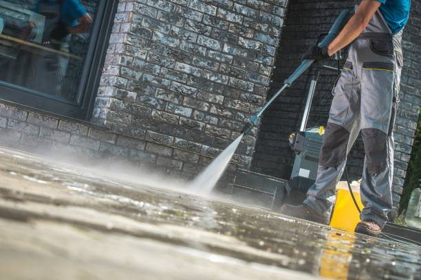 Best Residential Pressure Washing in Hornell, NY