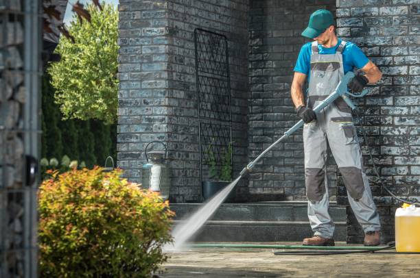Best Vinyl Siding Pressure Washing in Hornell, NY