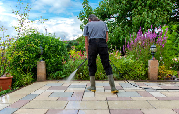 Best Parking Lot Cleaning in Hornell, NY